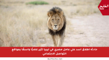 حادثة إطلاق أسد على عامل مصري في ليبيا تثير غضبًا واسعًا بمواقع التواصل الاجتماعي